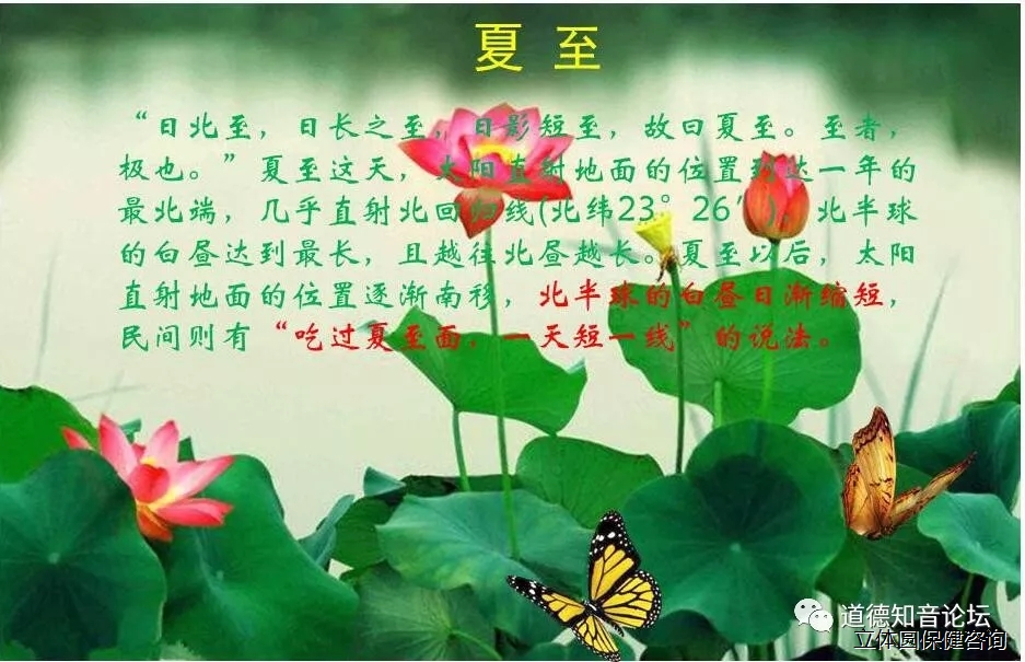 6403.webp.jpg