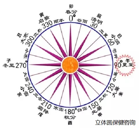 6402.webp.jpg