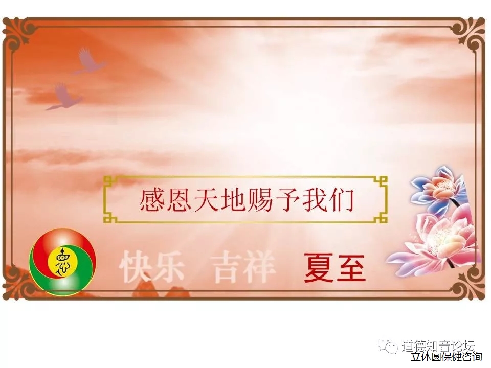 64013.webp.jpg