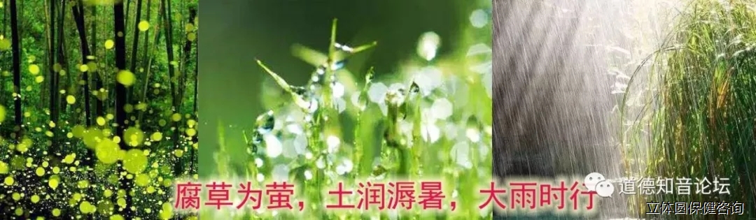 6403.webp.jpg