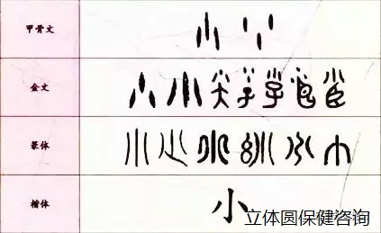 6405.webp.jpg